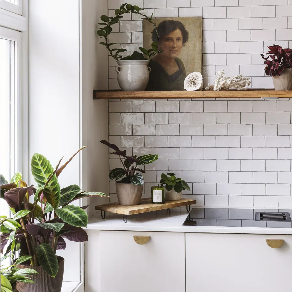 Guide: Planter til små og store rom
