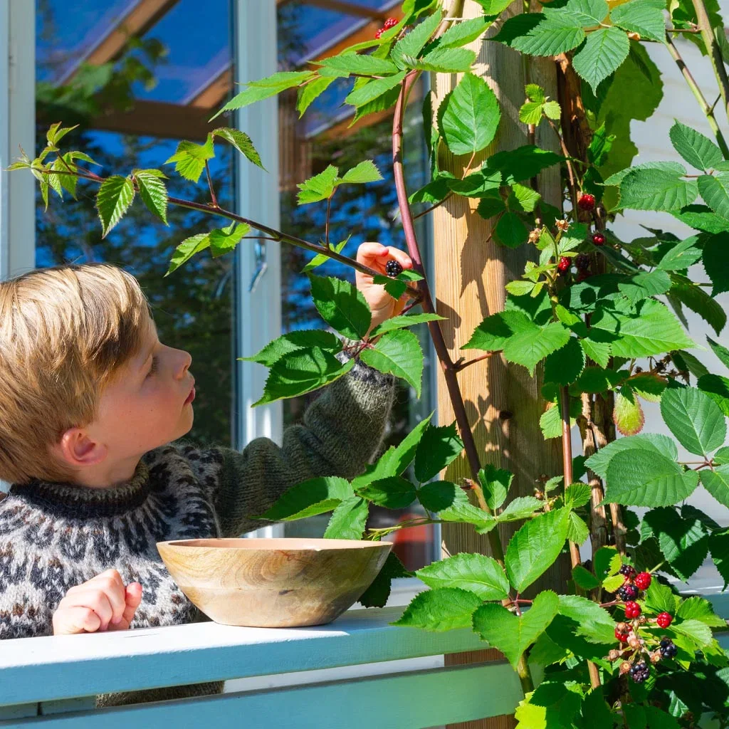 Hagebesøk: Sensommer i Thereses klassiske hage i Bærum