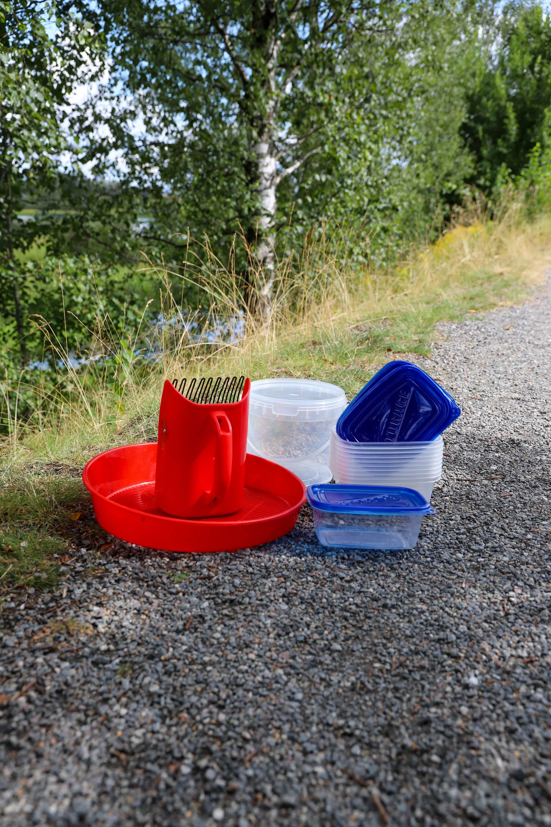 Bærplukker